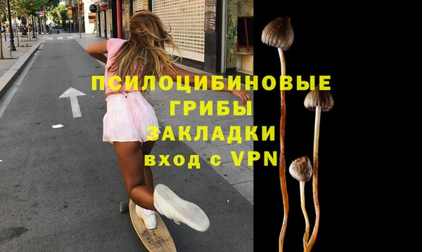 стафф Майский