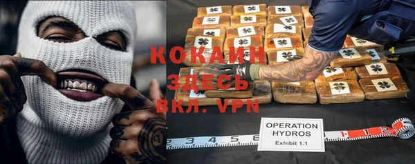 стафф Майский