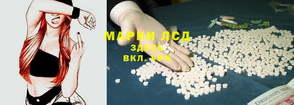 стафф Майский
