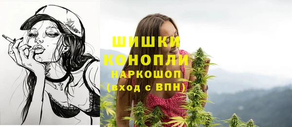 mdpv Медвежьегорск