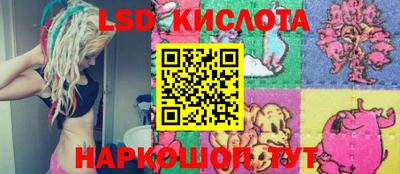 Альфа ПВП Будённовск