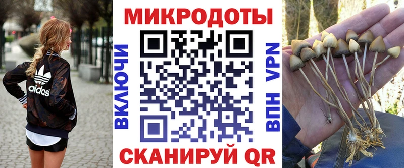 мега как войти  Ишим  Галлюциногенные грибы Psilocybine cubensis  где можно купить наркотик 