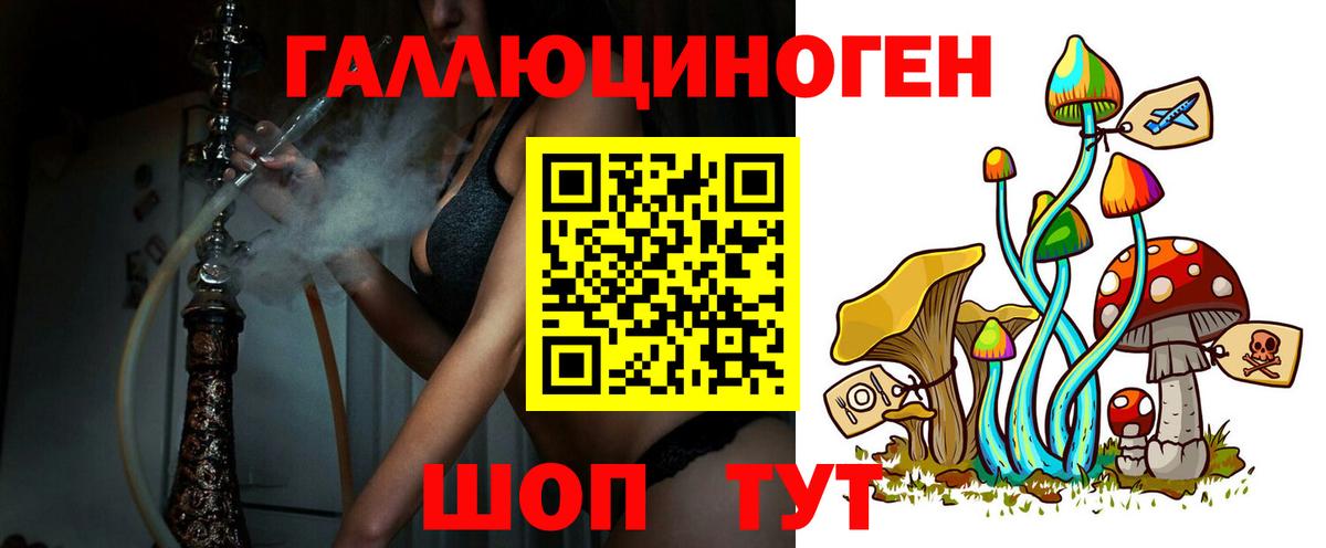 купить   Галлюциногенные грибы MAGIC MUSHROOMS  Вход с VPN  Псилоцибиновые грибы мицелий  Ишим 