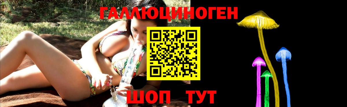 Псилоцибиновые грибы ЛСД  Ишим  Галлюциногенные грибы Psilocybine cubensis 