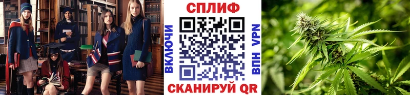 магазин продажи наркотиков  Ишим  Канабис гибрид 