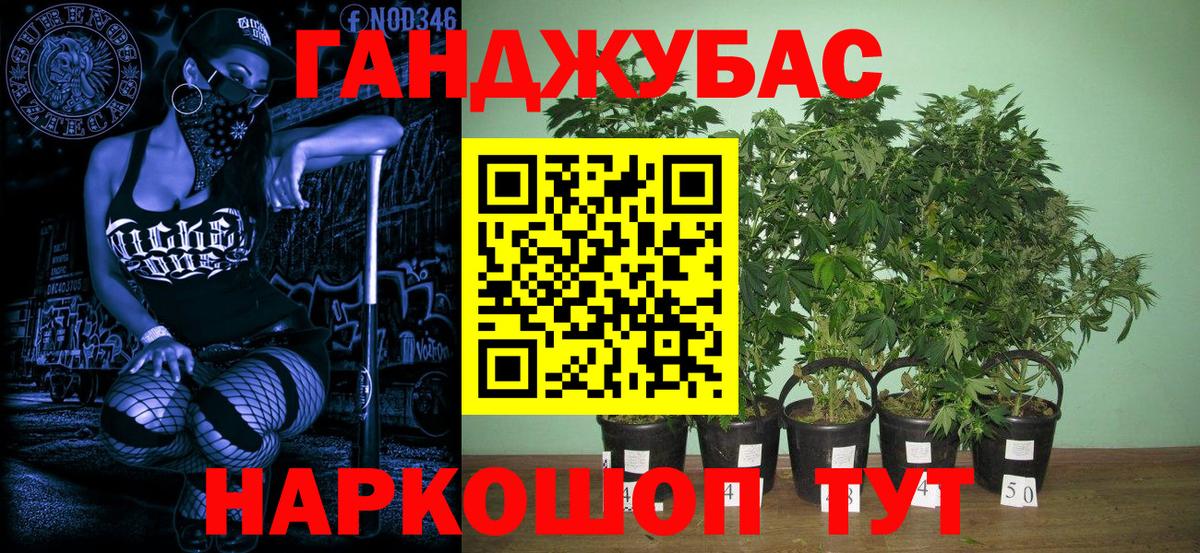 Канабис сатива  Бошки Шишки ГИДРОПОН  Ишим  Шишки марихуана конопля  Бошки марихуана MAZAR 